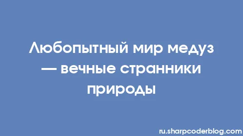 Любопытный мир медуз — вечные странники природы - Thumbnail
